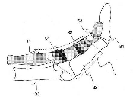 ewT|[^[-SHIATSU-http://www.y99.jp